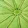Green Pattern