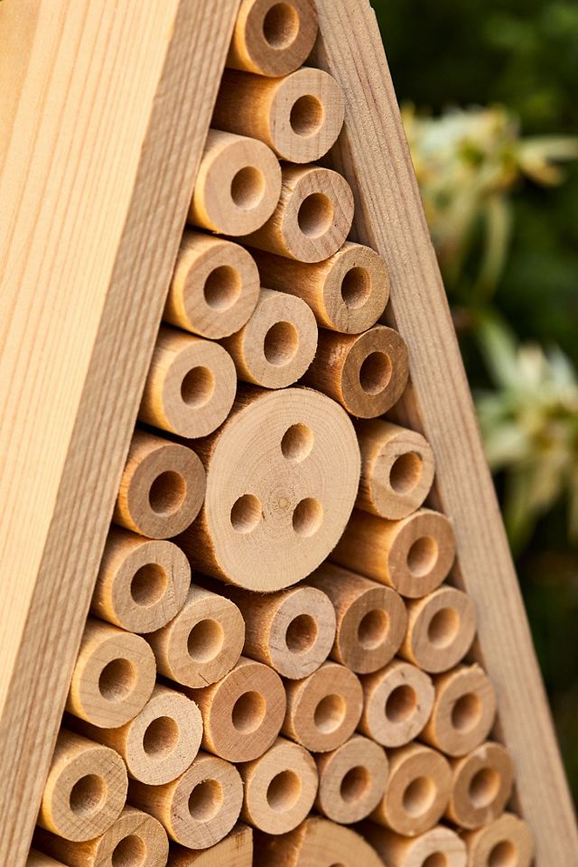 Triangle Insect Hotel #1