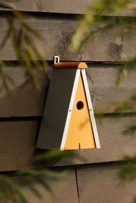 Nest Box