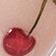 Talk Cherry To Me