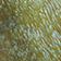 GREEN MOTIF