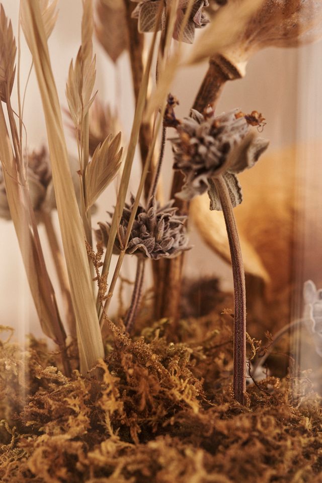 Right Side Hand Dried Mushroom + Botanicals Terrarium #1