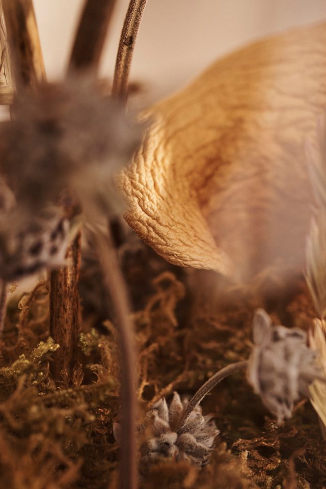 Right Side Hand Dried Mushroom + Botanicals Terrarium #2
