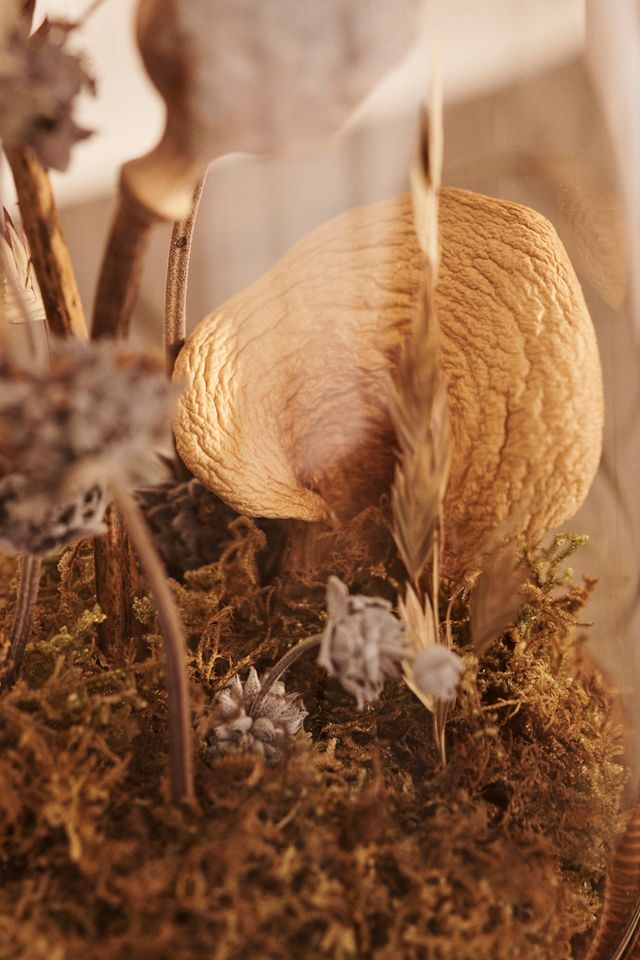 Right Side Hand Dried Mushroom + Botanicals Terrarium #3