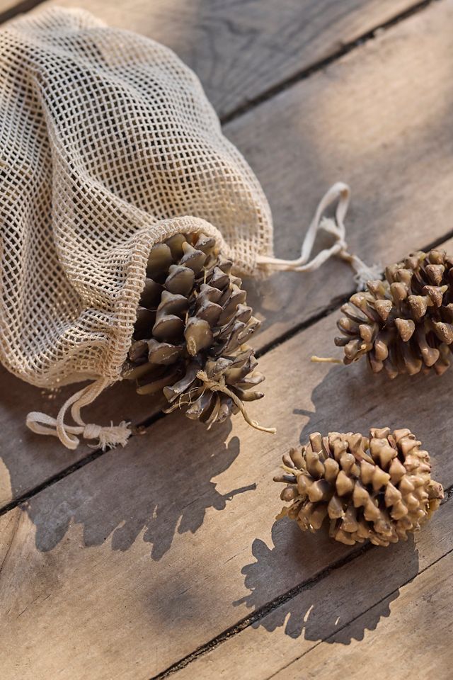 Firestarter Beeswax Pine Cones #2