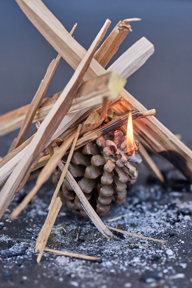 Firestarter Beeswax Pine Cones #1