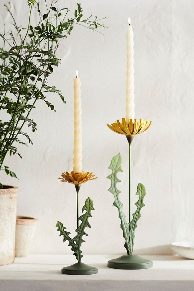 Dandelion Taper Holder | AnthroHome