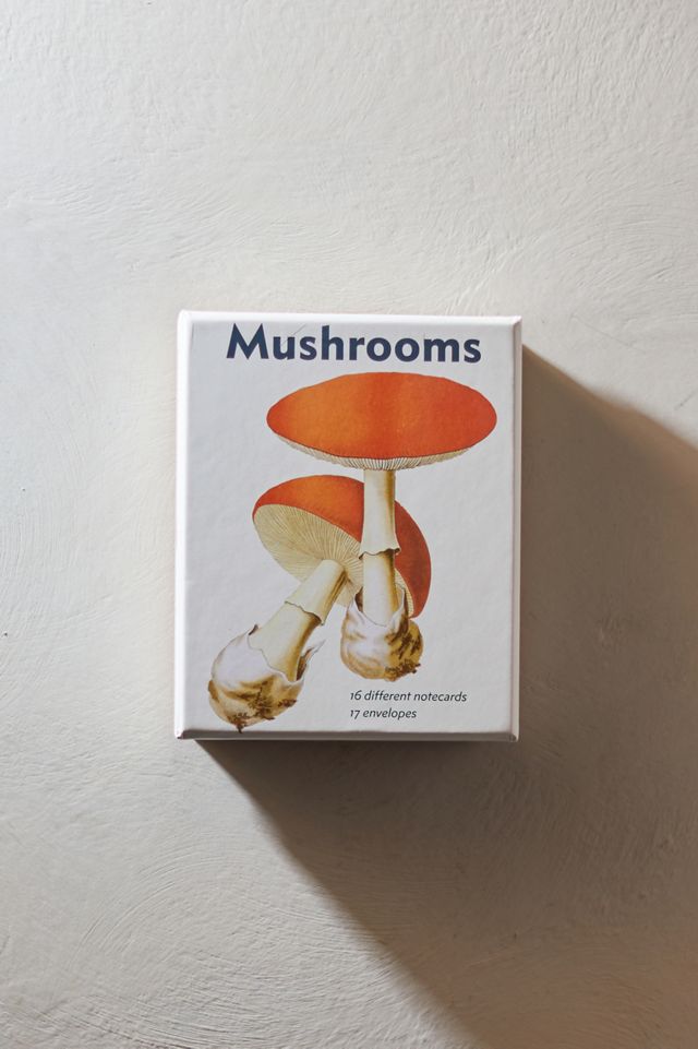Mushrooms Notecards, Set of 16 #1