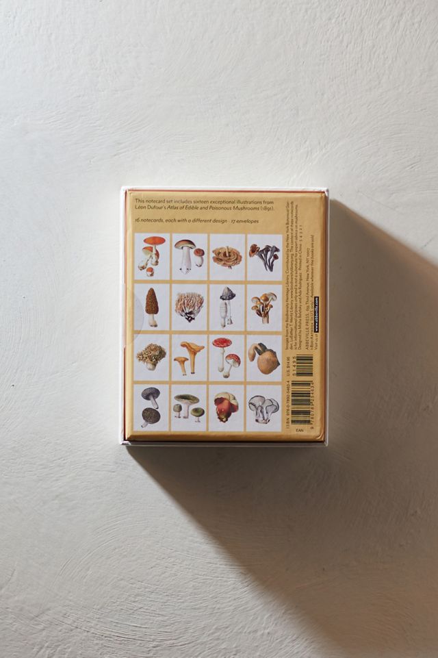 Mushrooms Notecards, Set of 16 #2