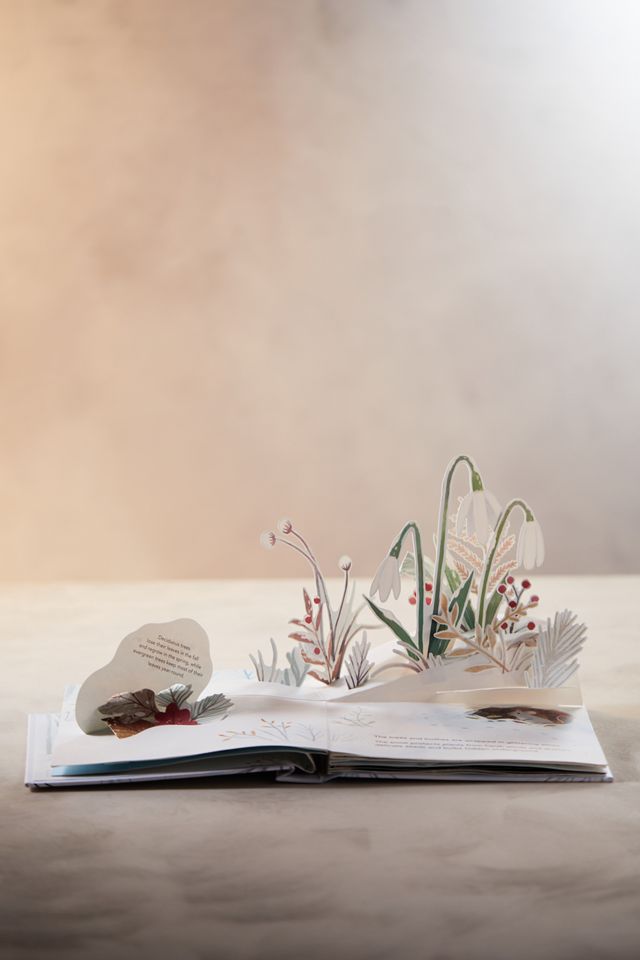 Snowscape: A Winter Pop-Up Book #3