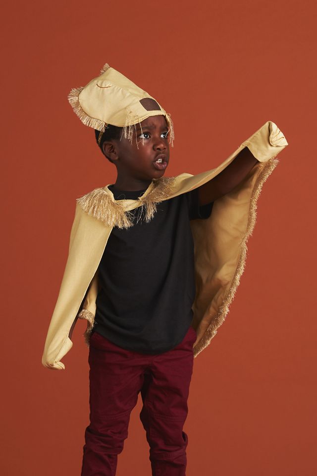 Lion Costume #1