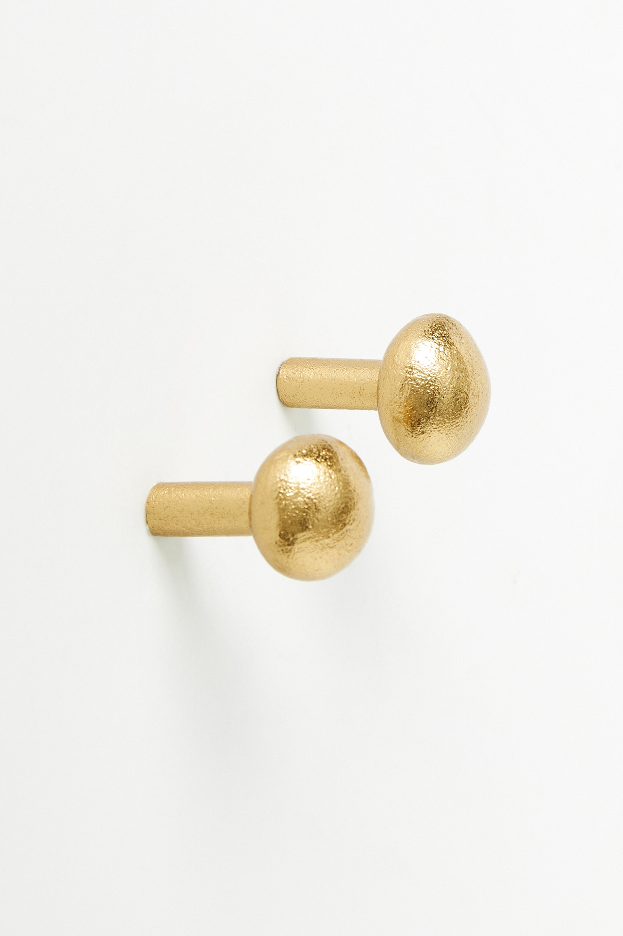 Zaha Burl Knobs, Set of 2