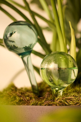 Watering Globes, Set of 2
