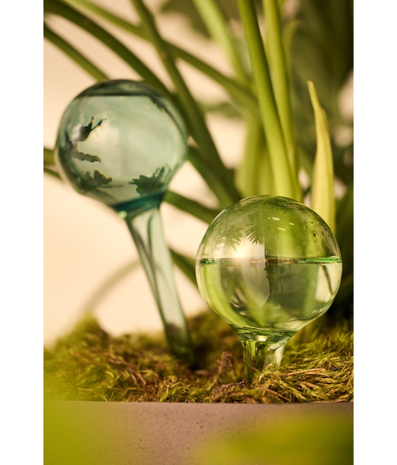 Watering Globes, Set of 2