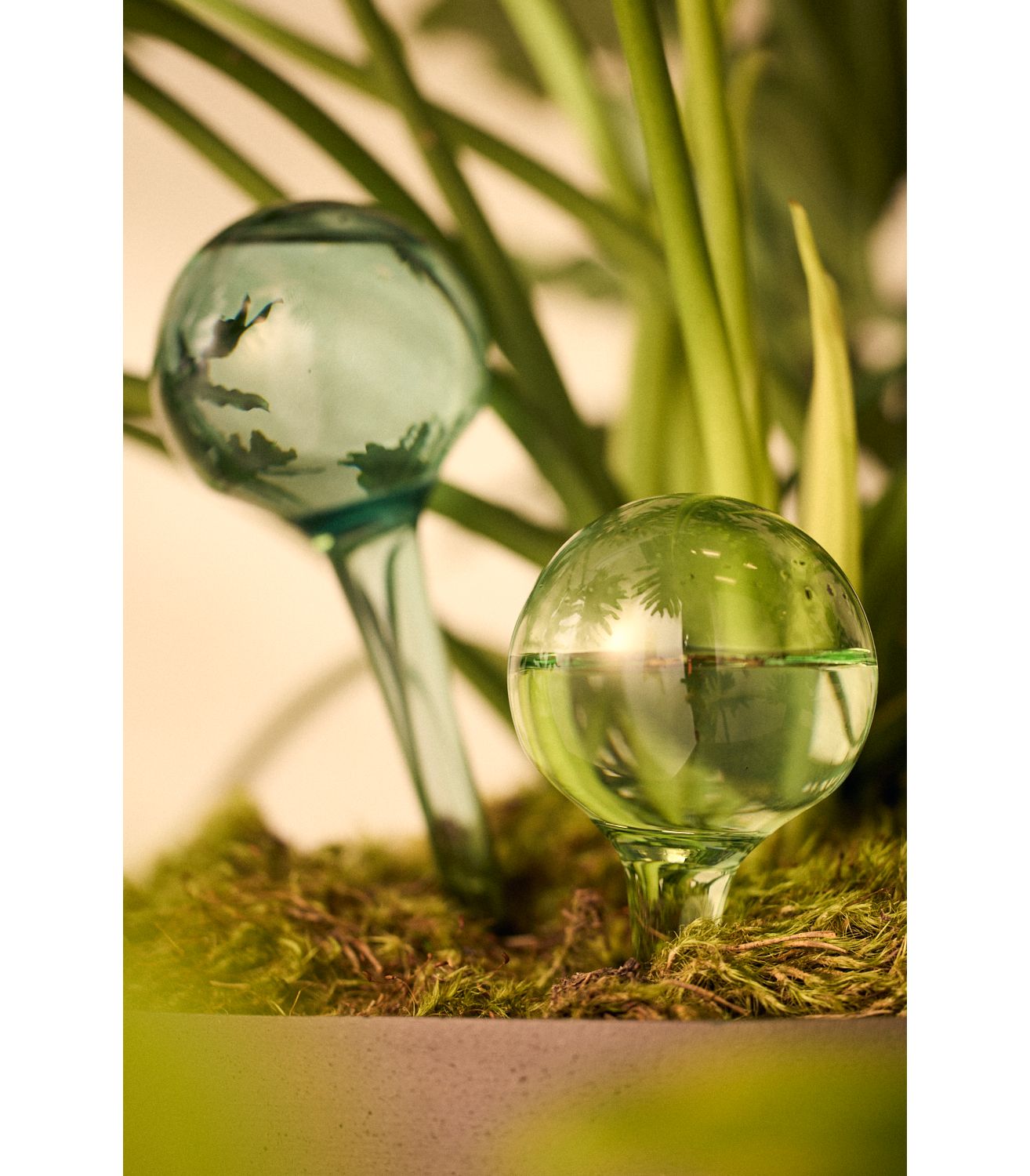Watering Globes, Set of 2 - Green, One Size