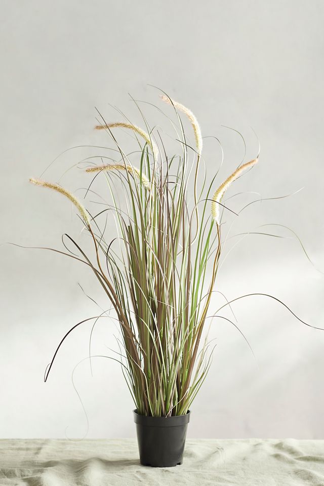Faux Wheat Grass Plant #1