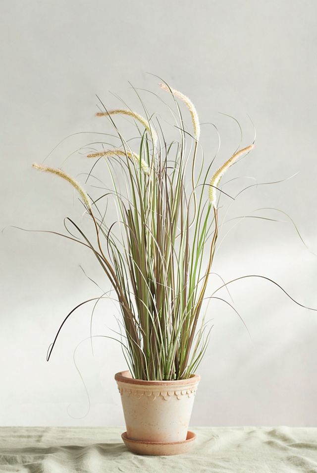 Faux Wheat Grass Plant