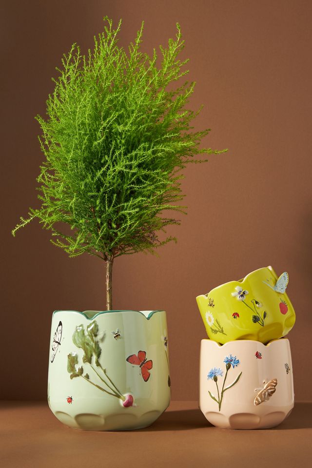 Faye Planter #2