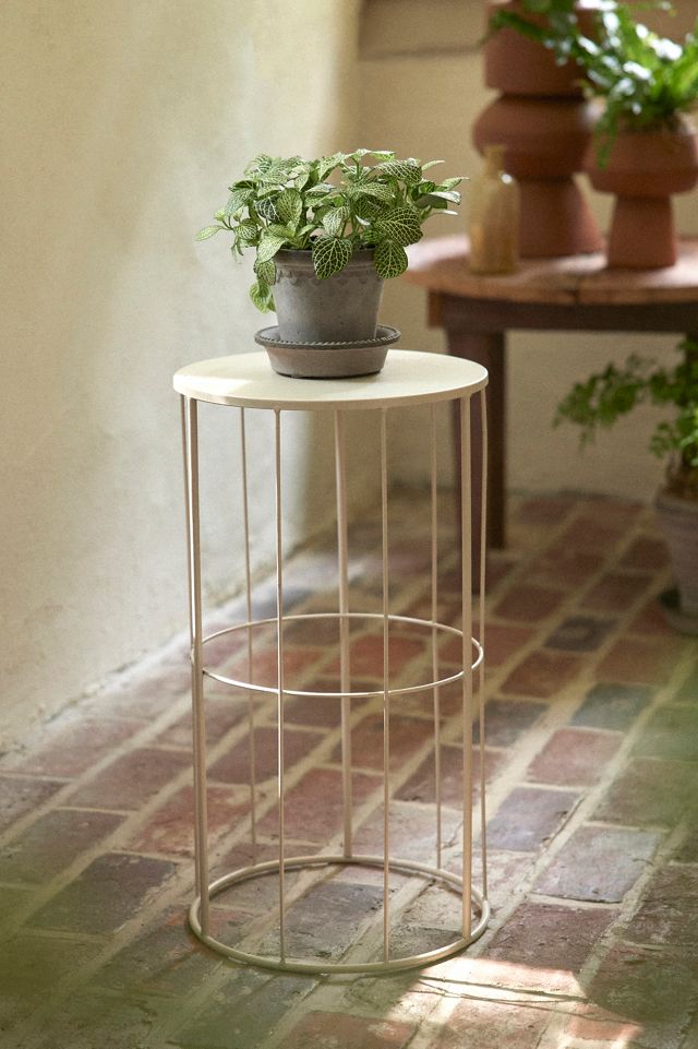 Cylinder Cage Plant Stand