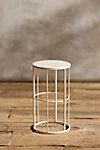 Cylinder Cage Plant Stand #1