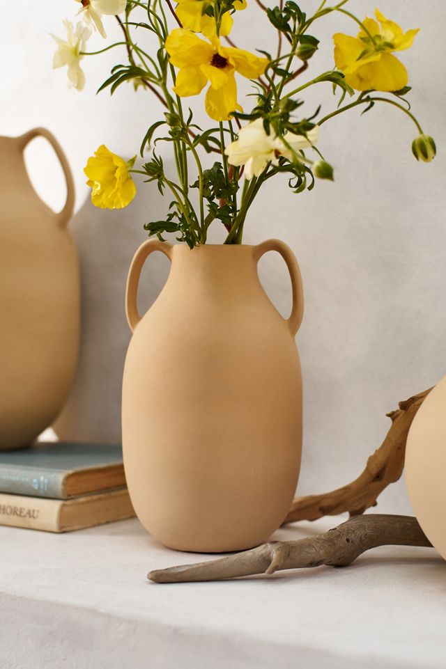 Two Handle Earthenware Jug Vase #3