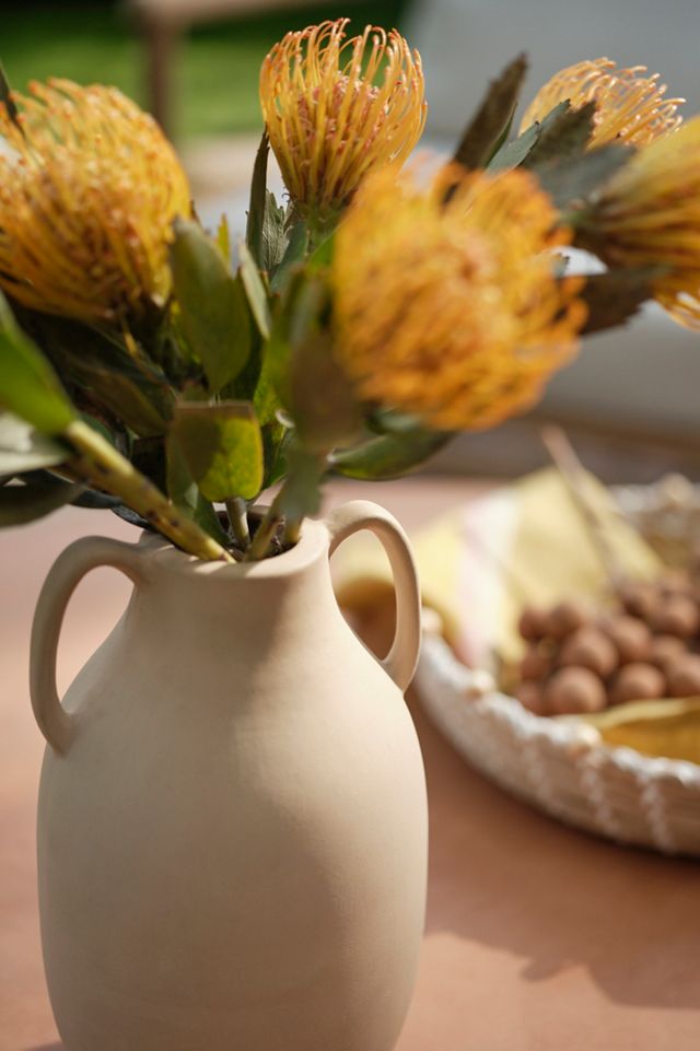 Two Handle Earthenware Jug Vase #1
