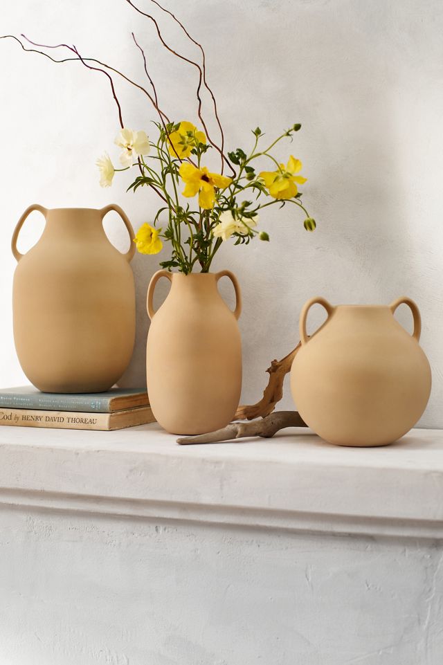 Two Handle Earthenware Jug Vase #2