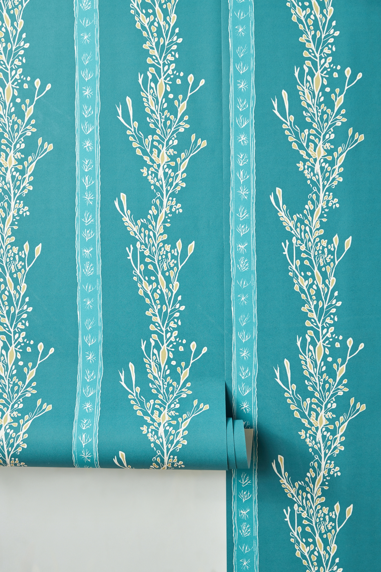Gatty's Kelp Forest Wallpaper