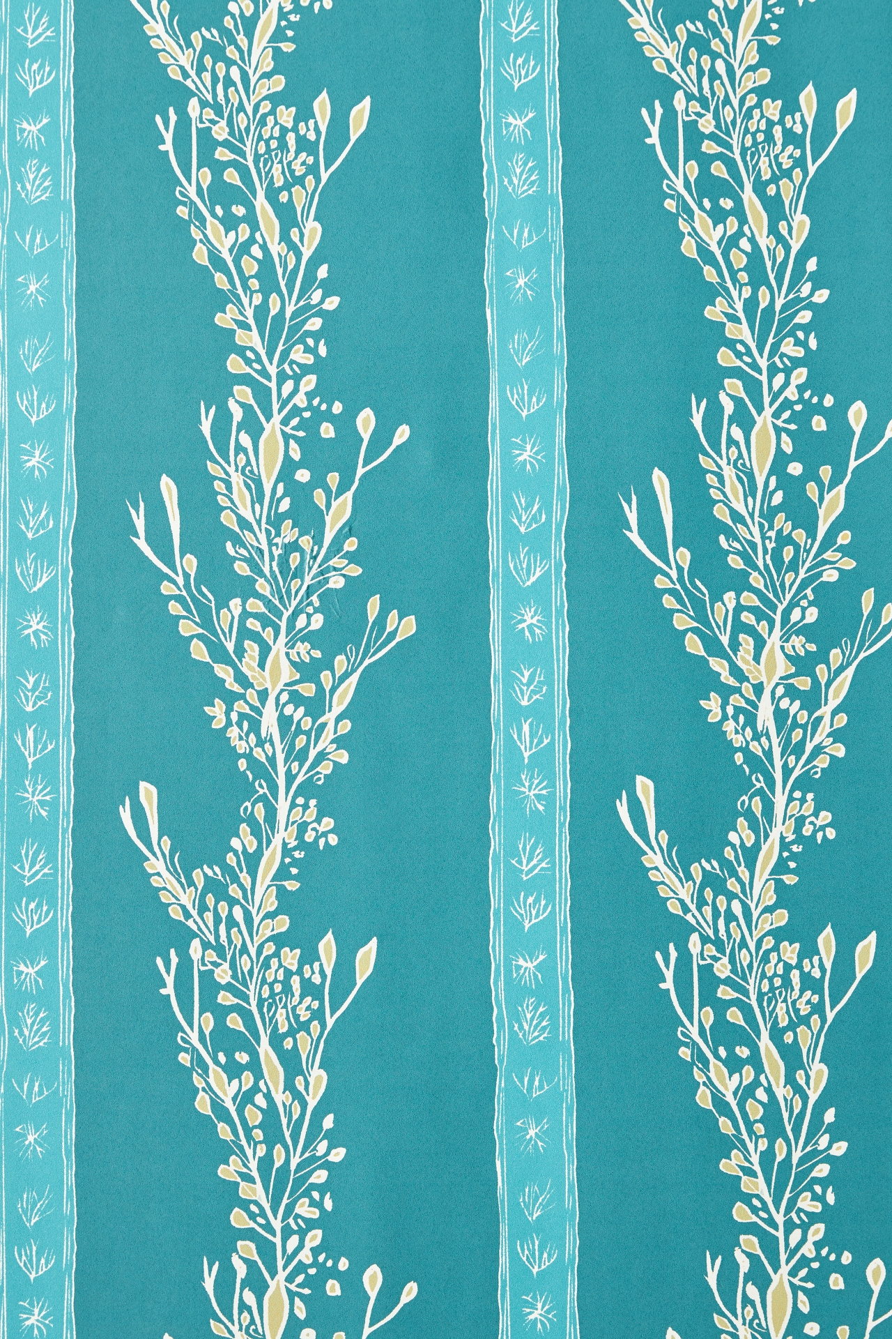 Gatty's Kelp Forest Wallpaper
