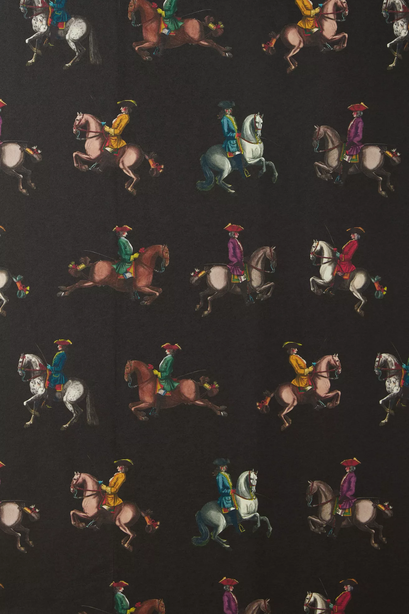 Milola Design Riding School Horse Animal Wallpaper