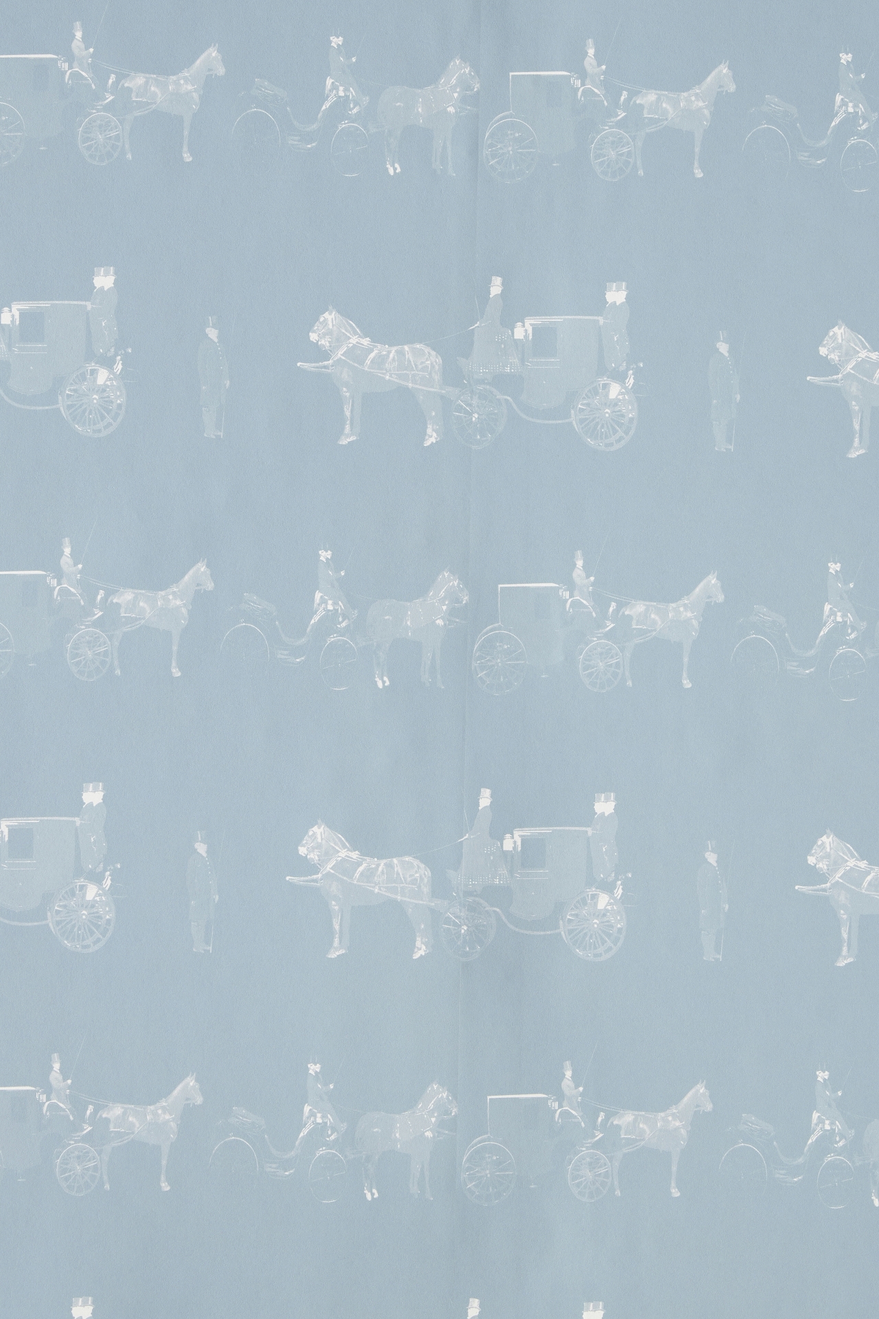 Milola Design Carriages Horse Wallpaper