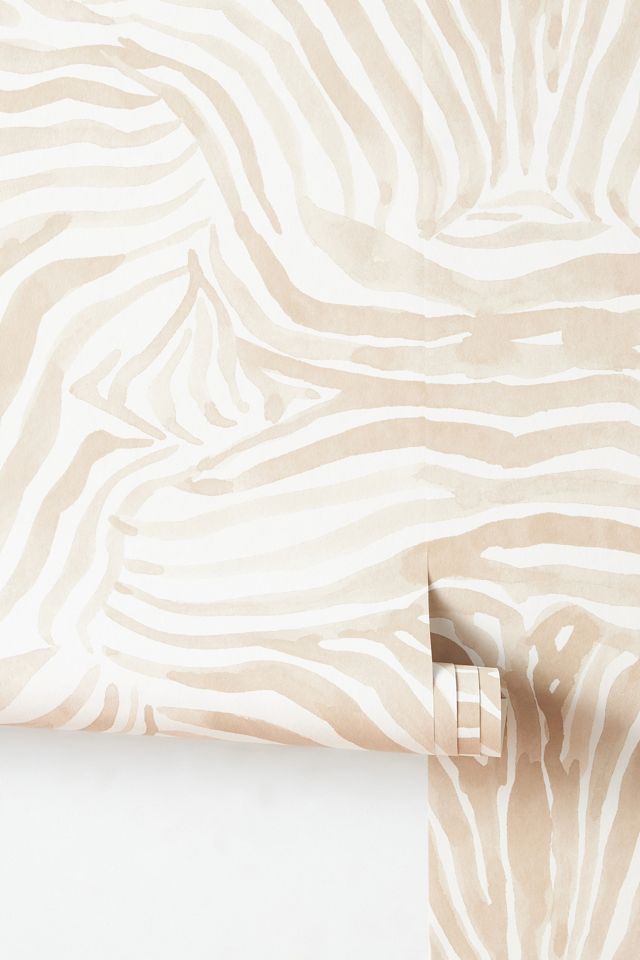 Zebra Wallpaper #1