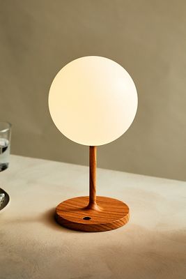 Terrain Globe Table Lamp In Brown