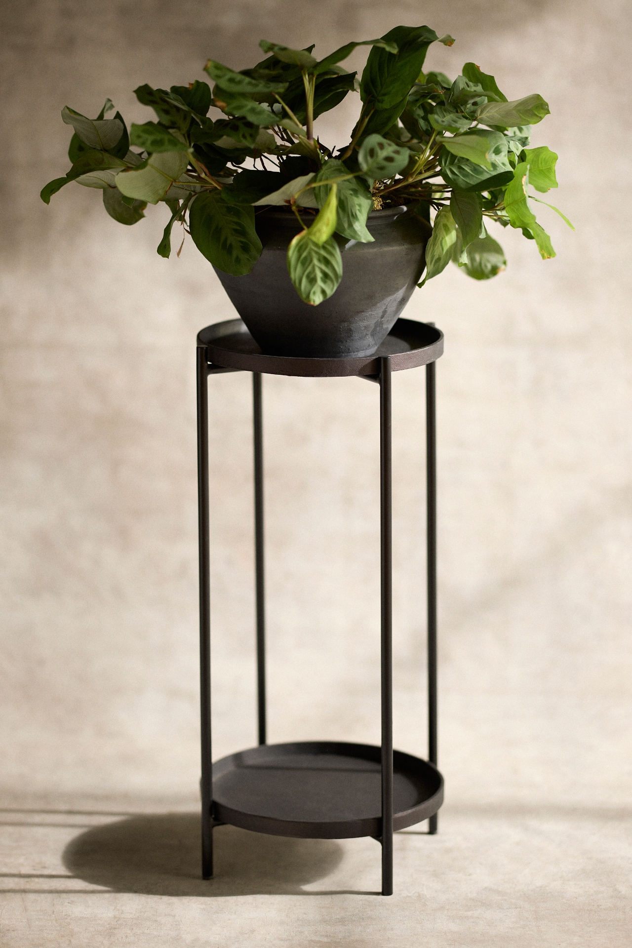 Dual Shelf Plant Stand