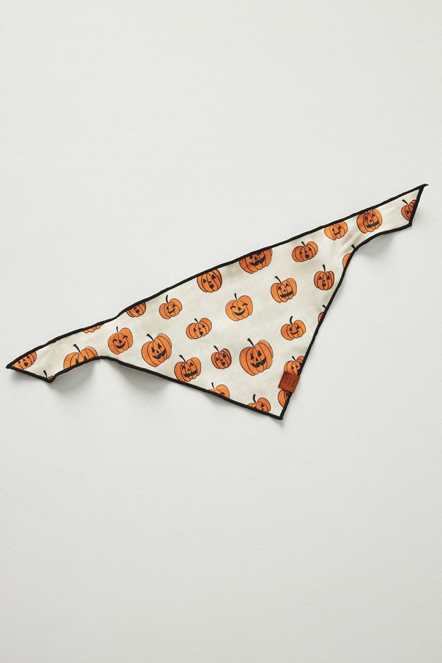 The Foggy Dog Reversible Halloween Bandana #1