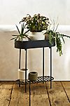 Oval Iron Plant Stand with Shelf