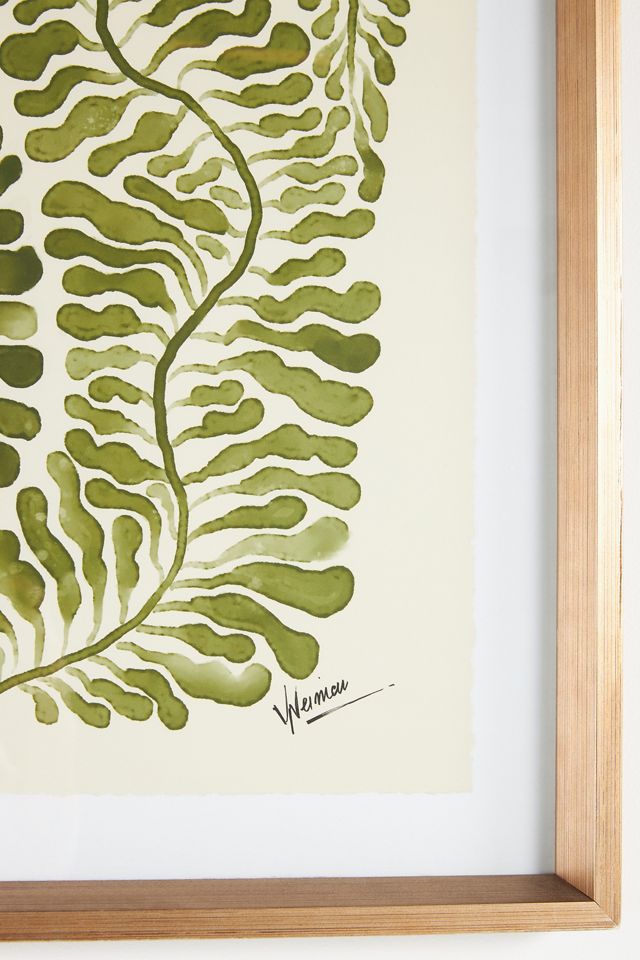 Crowded Ferns 2 Wall Art #1