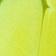 Yellow Pattern