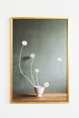 Artfully Walls Dandelions Wall Art In Assorted