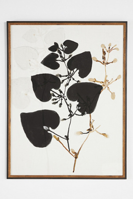 Ruti Shaashua For Artfully Walls Black Plant Wall Art In Black