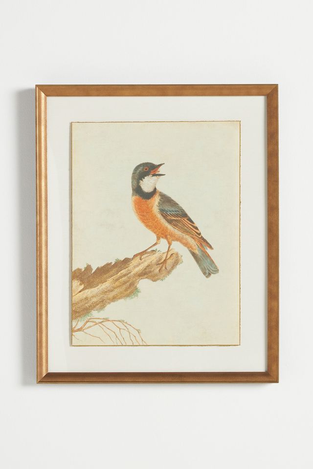 Birds of Autumn Wall Art #1