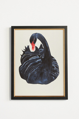 Artfully Walls Black Swan Wall Art In Assorted