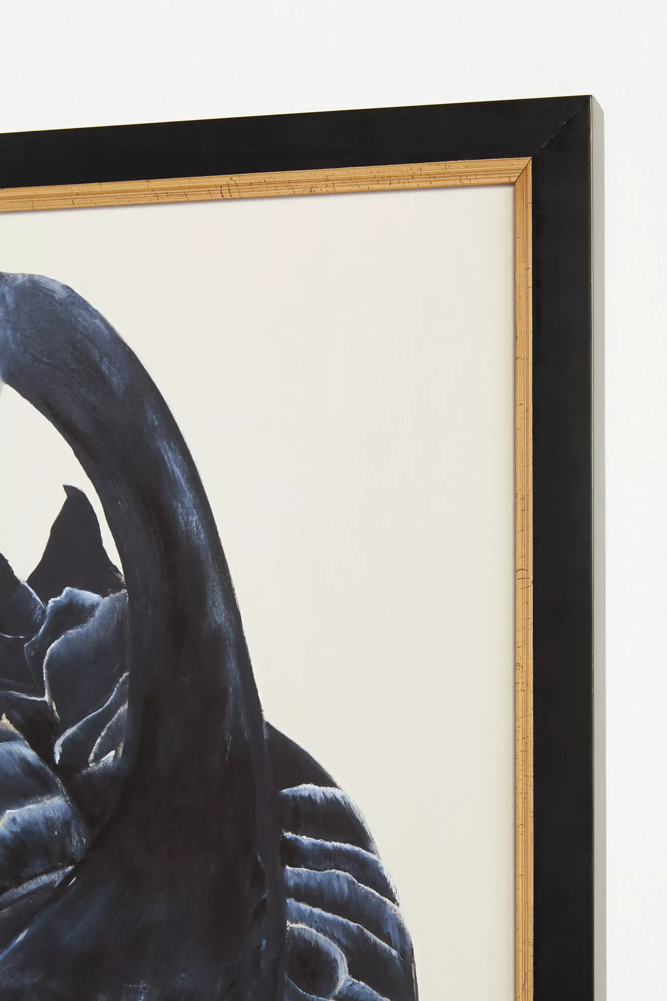 Black Swan Wall Art - thumbnail 2