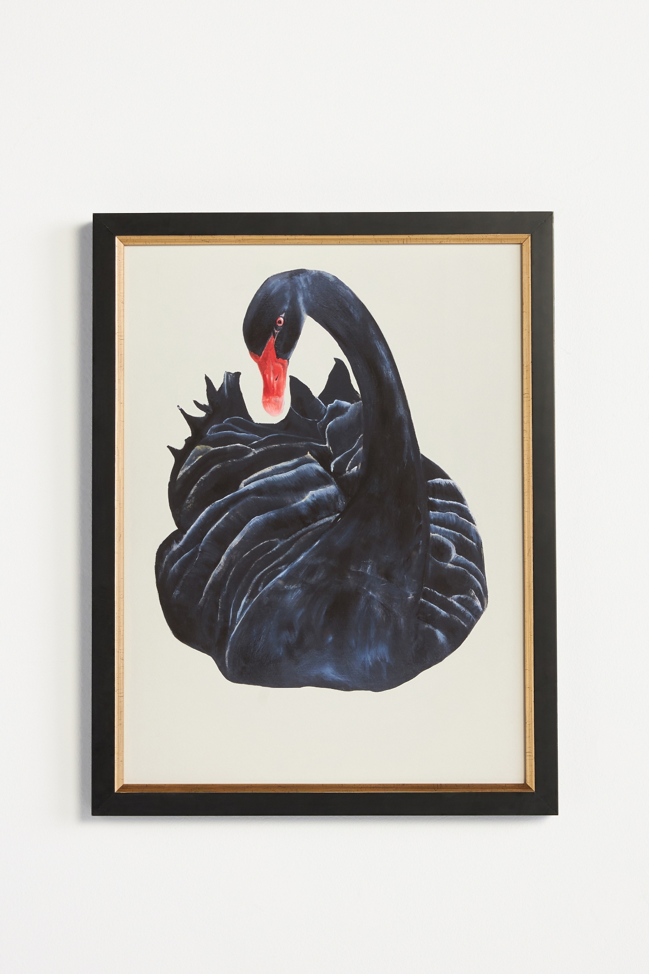 Black Swan Wall Art