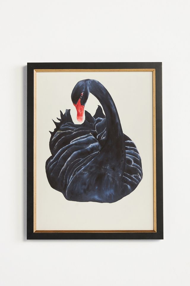 black swan painting