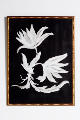 Ruti Shaashua For Artfully Walls Washed Botanica Ornament Wall Art In Black
