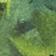 Green Pattern