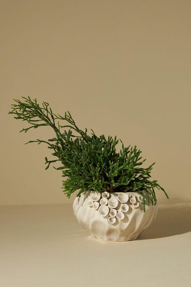 Corale Textured Jar Candle #3
