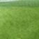 Green Pattern