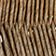 Neutral